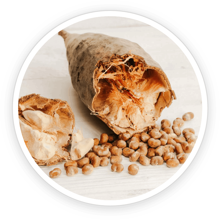 Conclusion Steel Bite Pro